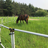 Ready Made Portable Electric Horse Corral Fencing: (Electric EconoLine 12 Panels; 2 Rails)