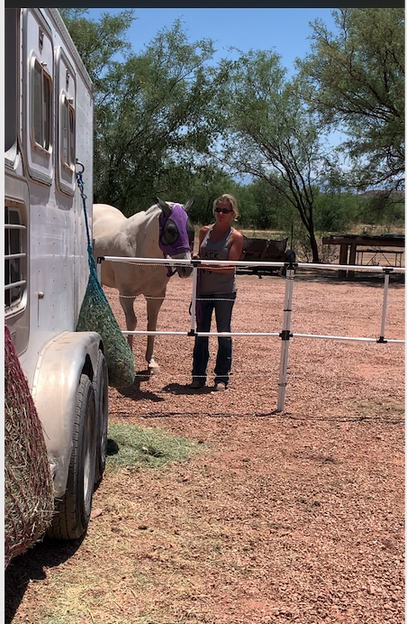 BOGO Ready Made Portable Electric Horse Corral Fencing: (Electric EconoLine 8x2 = 16Panels; 2 Rails)