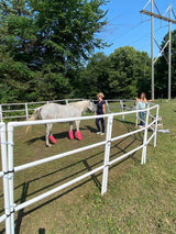 Modular Horse Corral Portable Panel Fencing: (Liberty 14 Panels; 3 Rails)